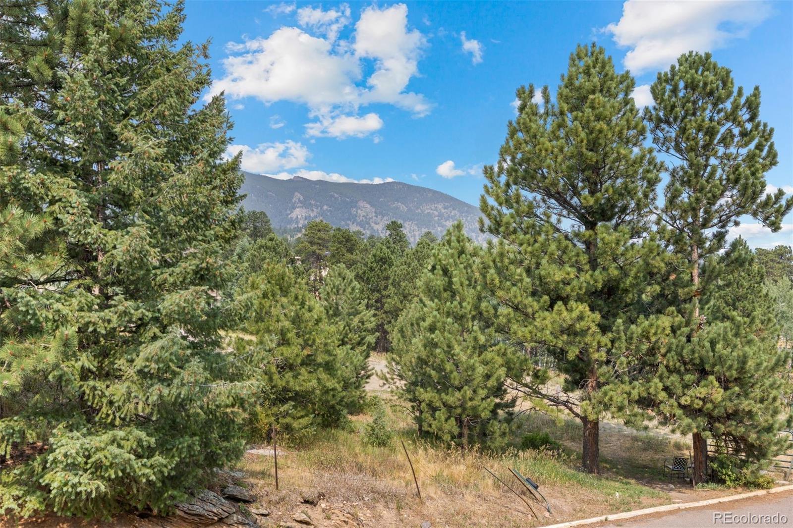 MLS Image #9 for 31270  john wallace road,evergreen, Colorado