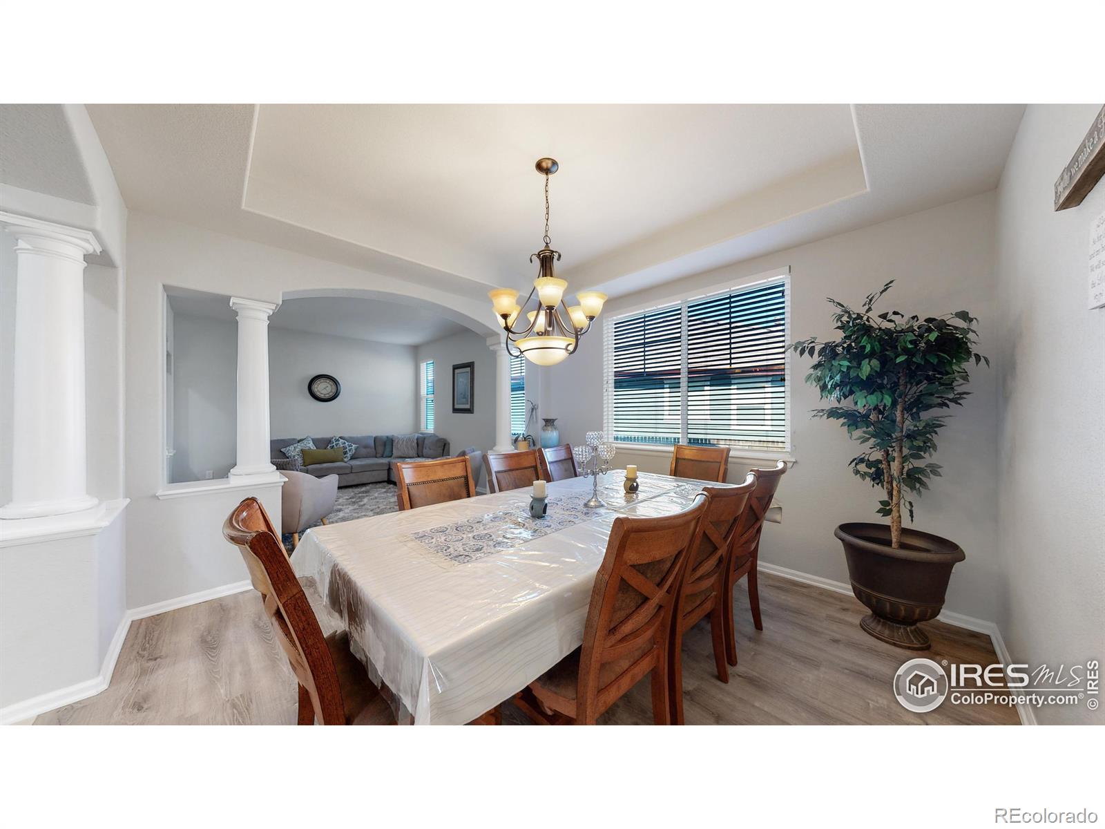 MLS Image #8 for 519  cardens court,erie, Colorado