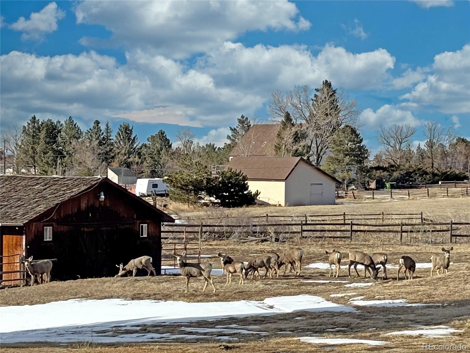MLS Image #30 for 12925  sierra circle,parker, Colorado