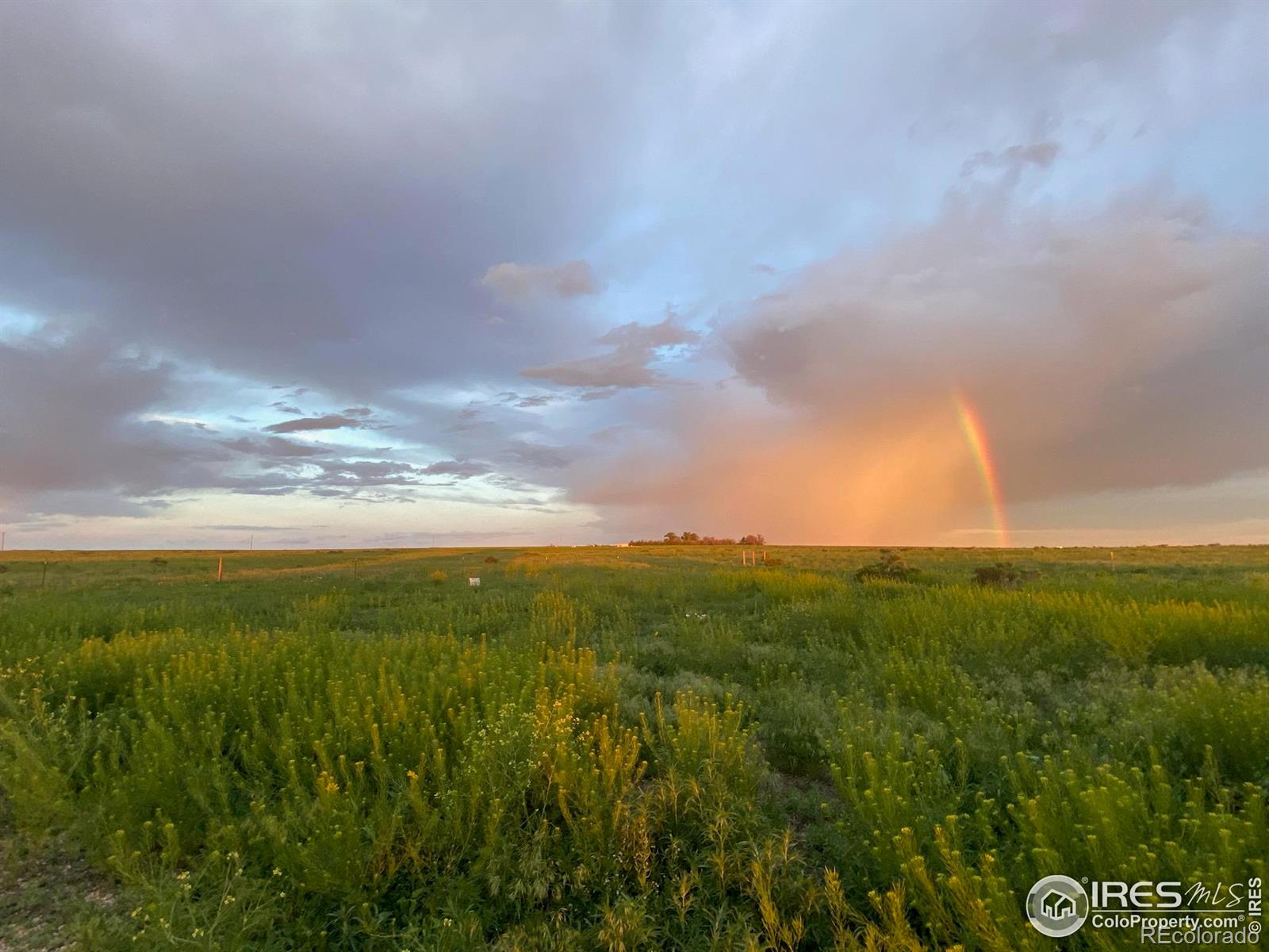 MLS Image #38 for 22758  highway 14 ,ault, Colorado