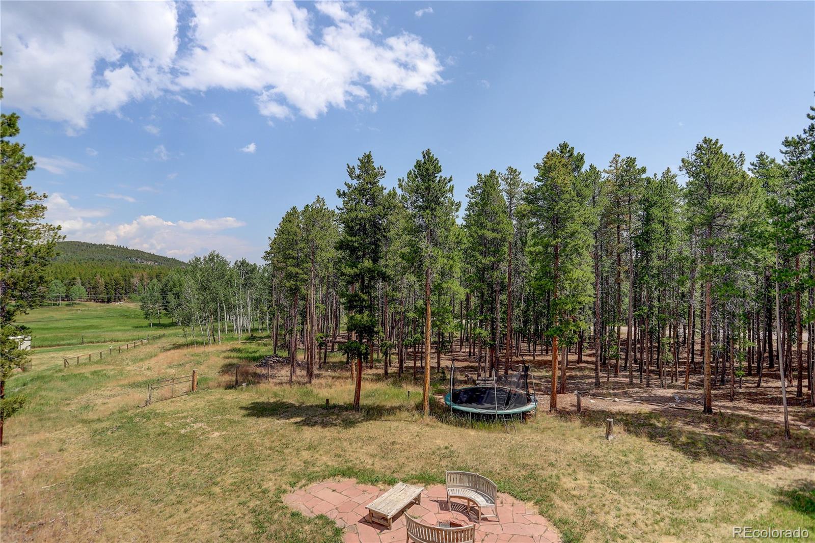 MLS Image #41 for 31595  griffin drive,conifer, Colorado