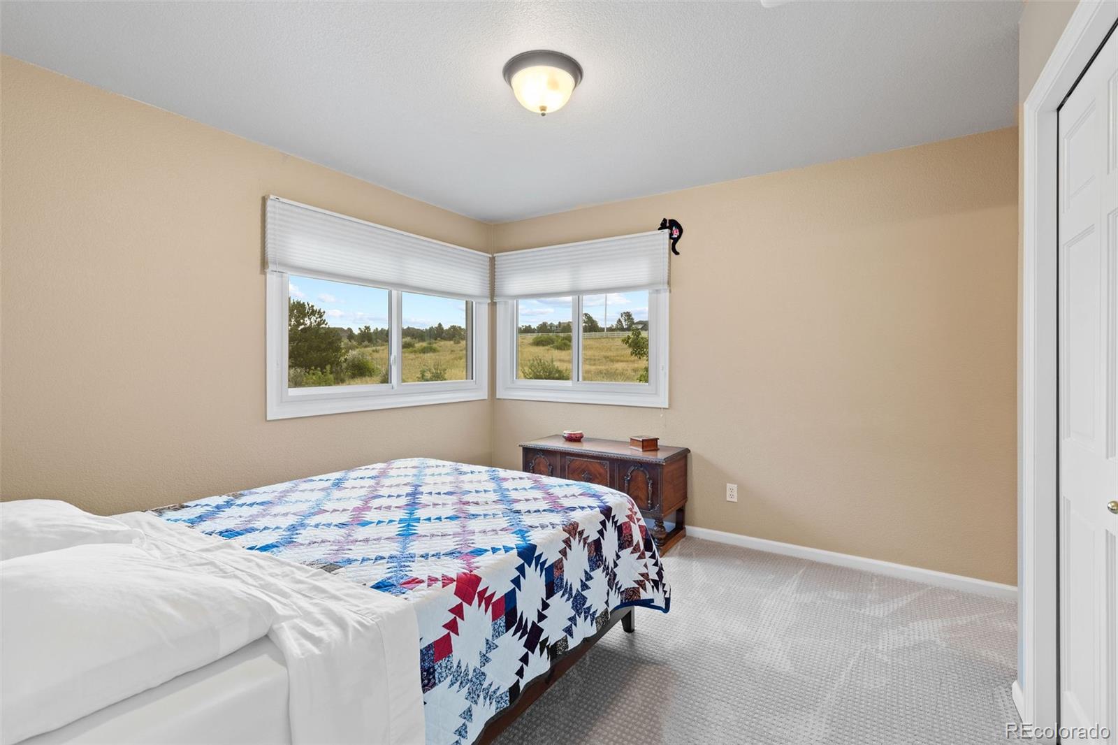 MLS Image #29 for 5604  singletree lane,parker, Colorado