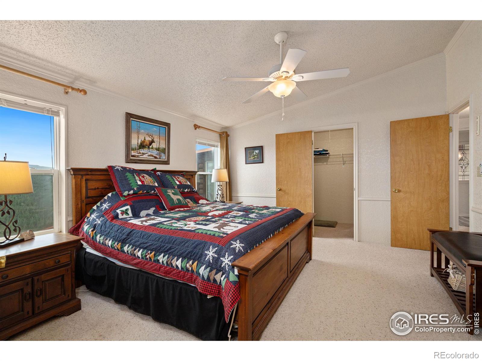 MLS Image #20 for 547  mount massive drive,livermore, Colorado