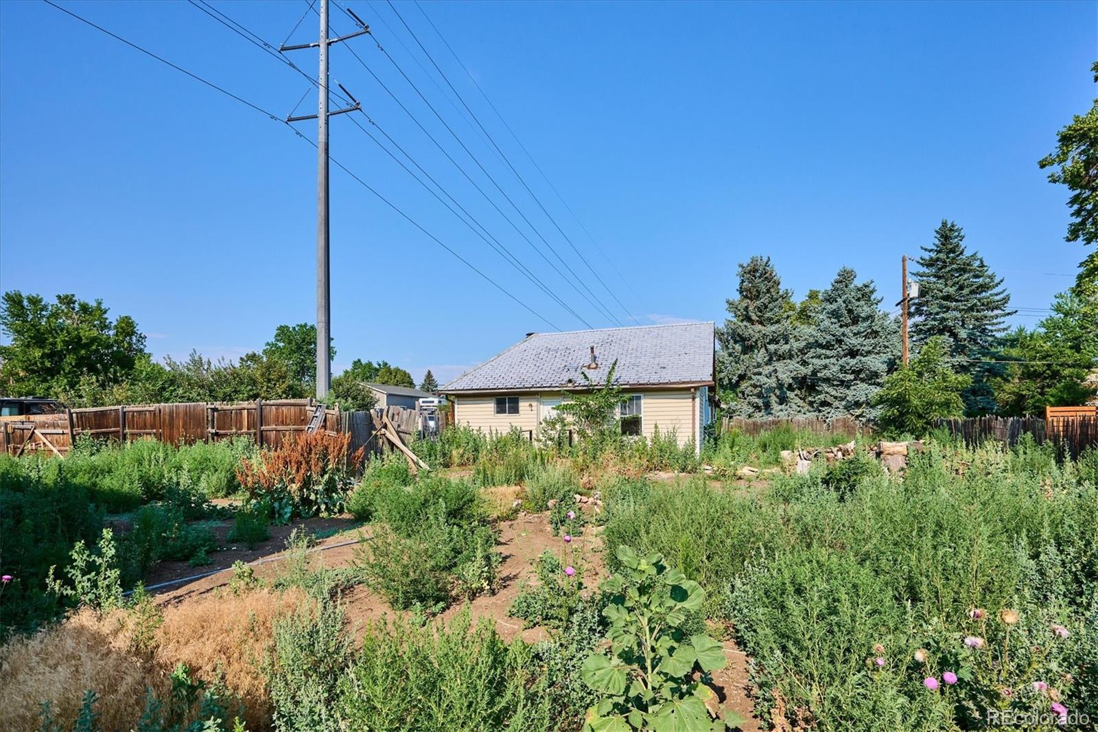 MLS Image #19 for 1100  urban street,lakewood, Colorado