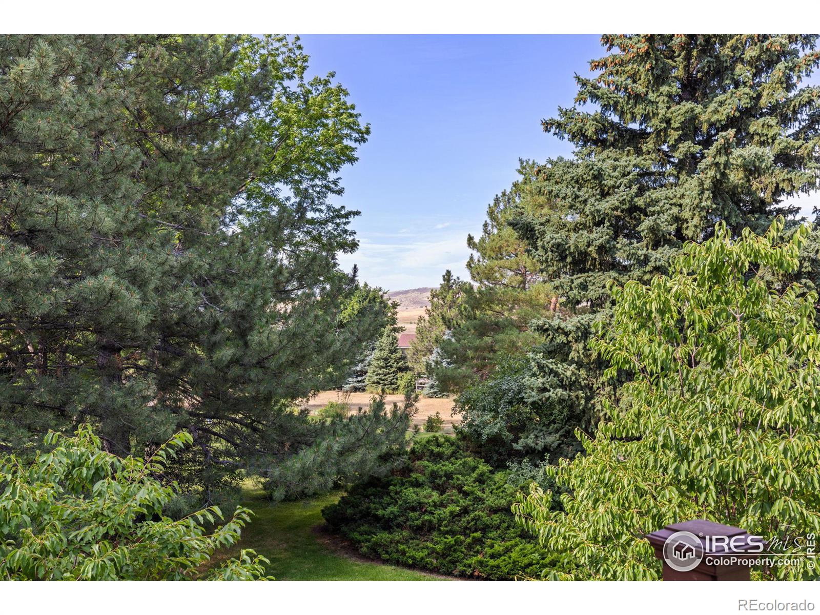 MLS Image #18 for 4709  chippendale drive,fort collins, Colorado
