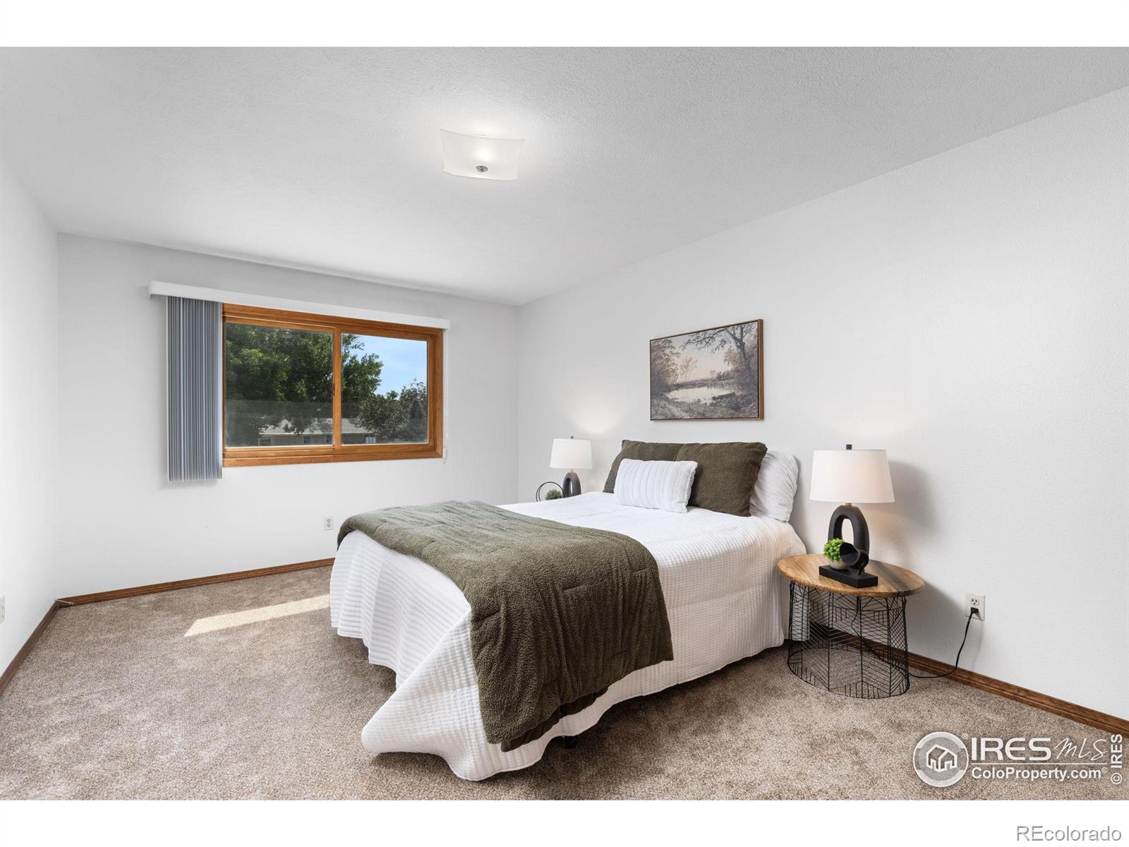 MLS Image #23 for 4709  chippendale drive,fort collins, Colorado