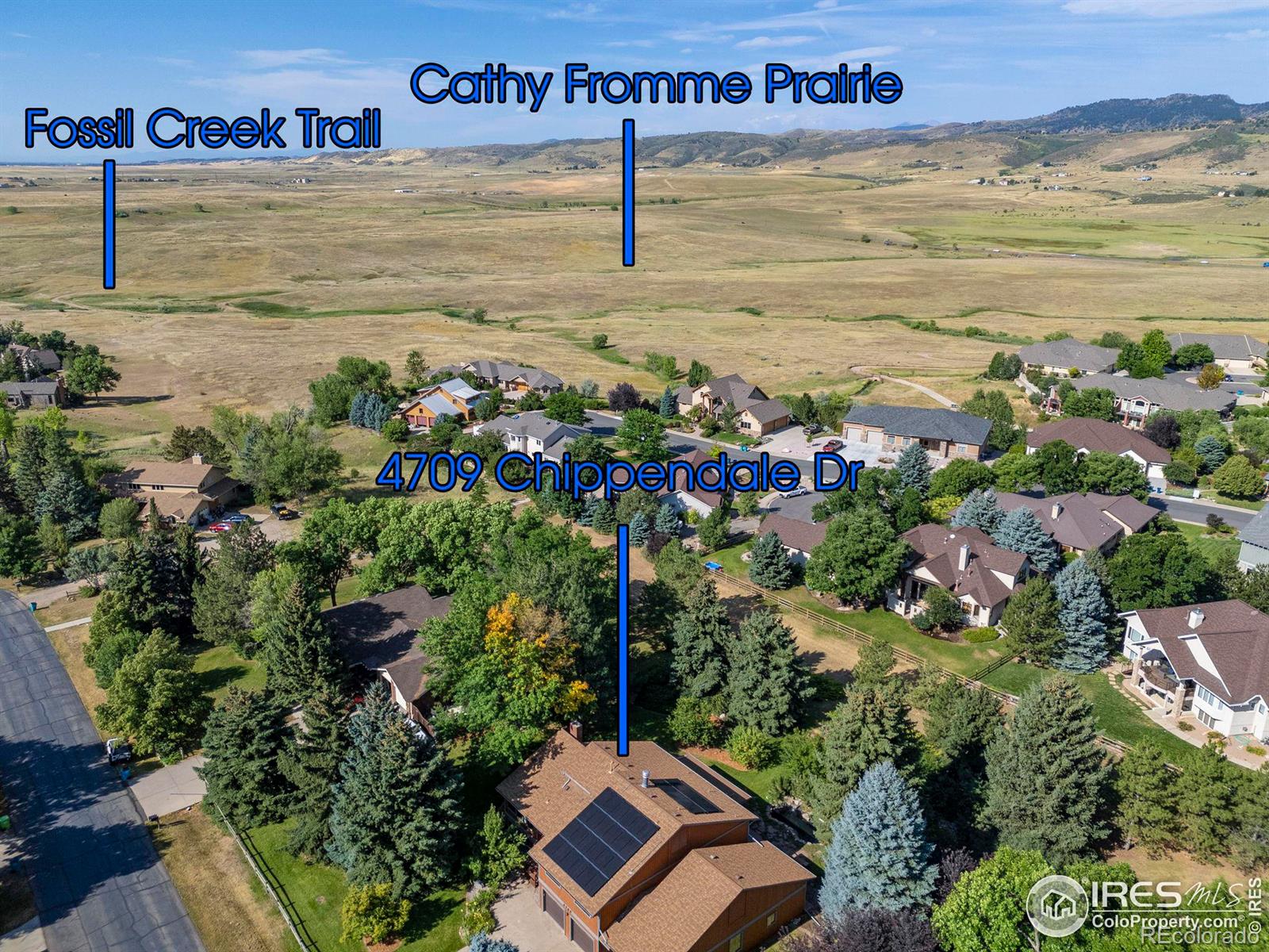 MLS Image #39 for 4709  chippendale drive,fort collins, Colorado