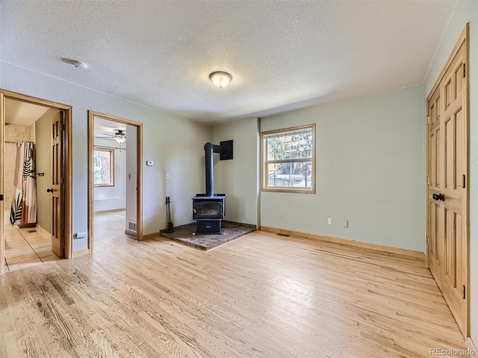 MLS Image #15 for 127 n pine drive,bailey, Colorado