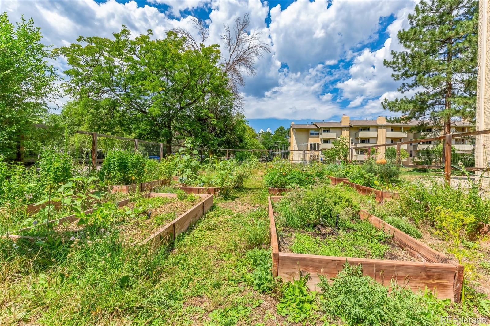 MLS Image #27 for 3030  oneal parkway,boulder, Colorado