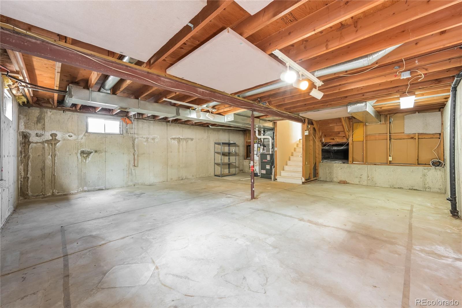 MLS Image #20 for 13144  hadar drive,littleton, Colorado