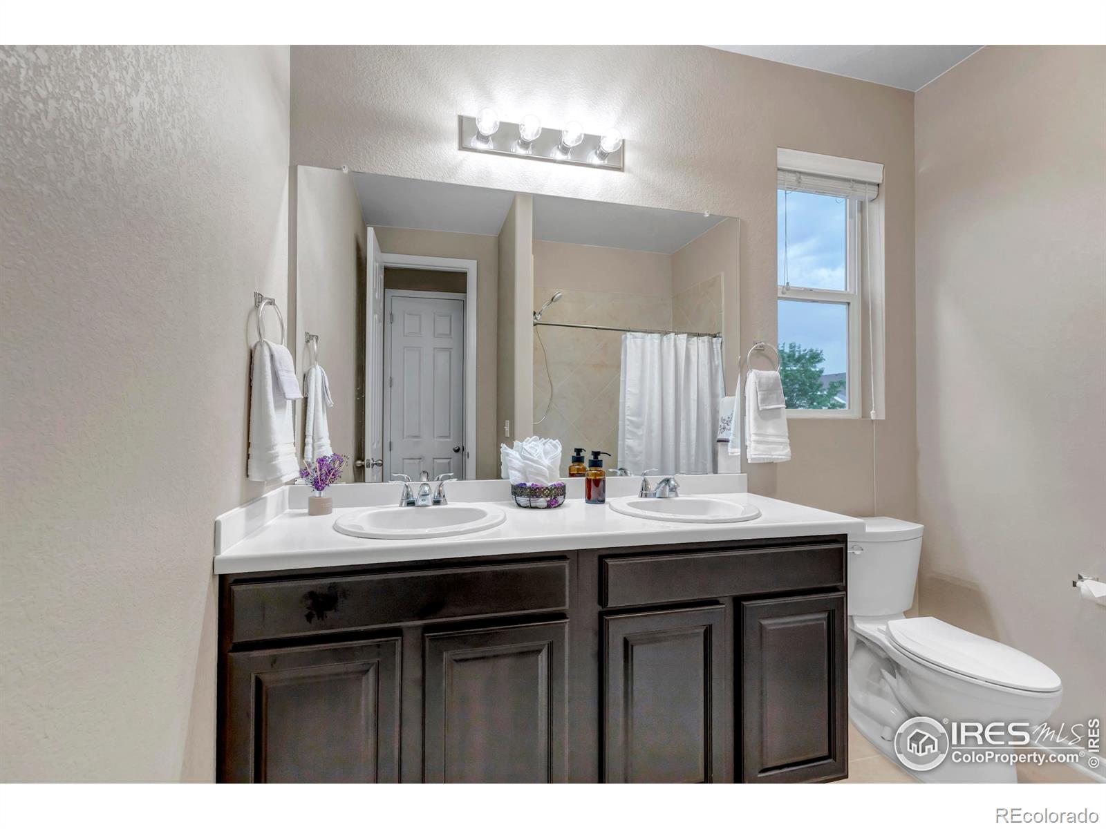 MLS Image #26 for 342  mcneil drive,windsor, Colorado