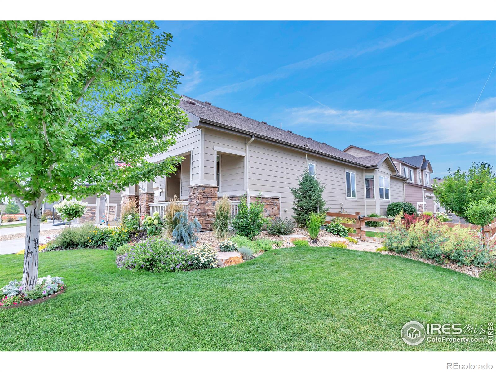 MLS Image #4 for 342  mcneil drive,windsor, Colorado