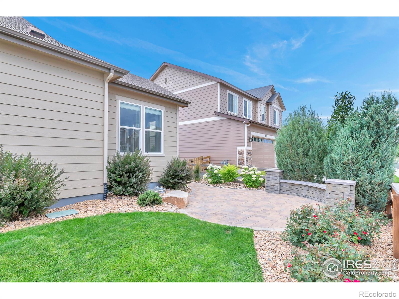 MLS Image #6 for 342  mcneil drive,windsor, Colorado