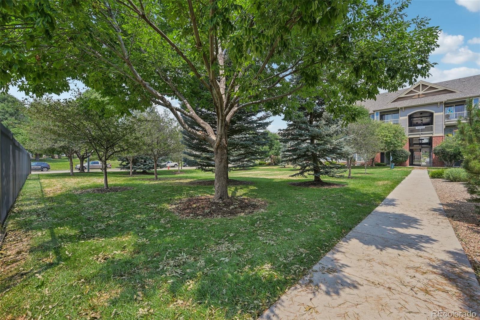 MLS Image #36 for 804  summer hawk drive,longmont, Colorado