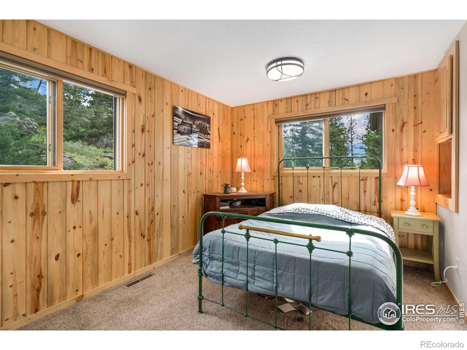 MLS Image #23 for 244  blue grouse lane,bellvue, Colorado