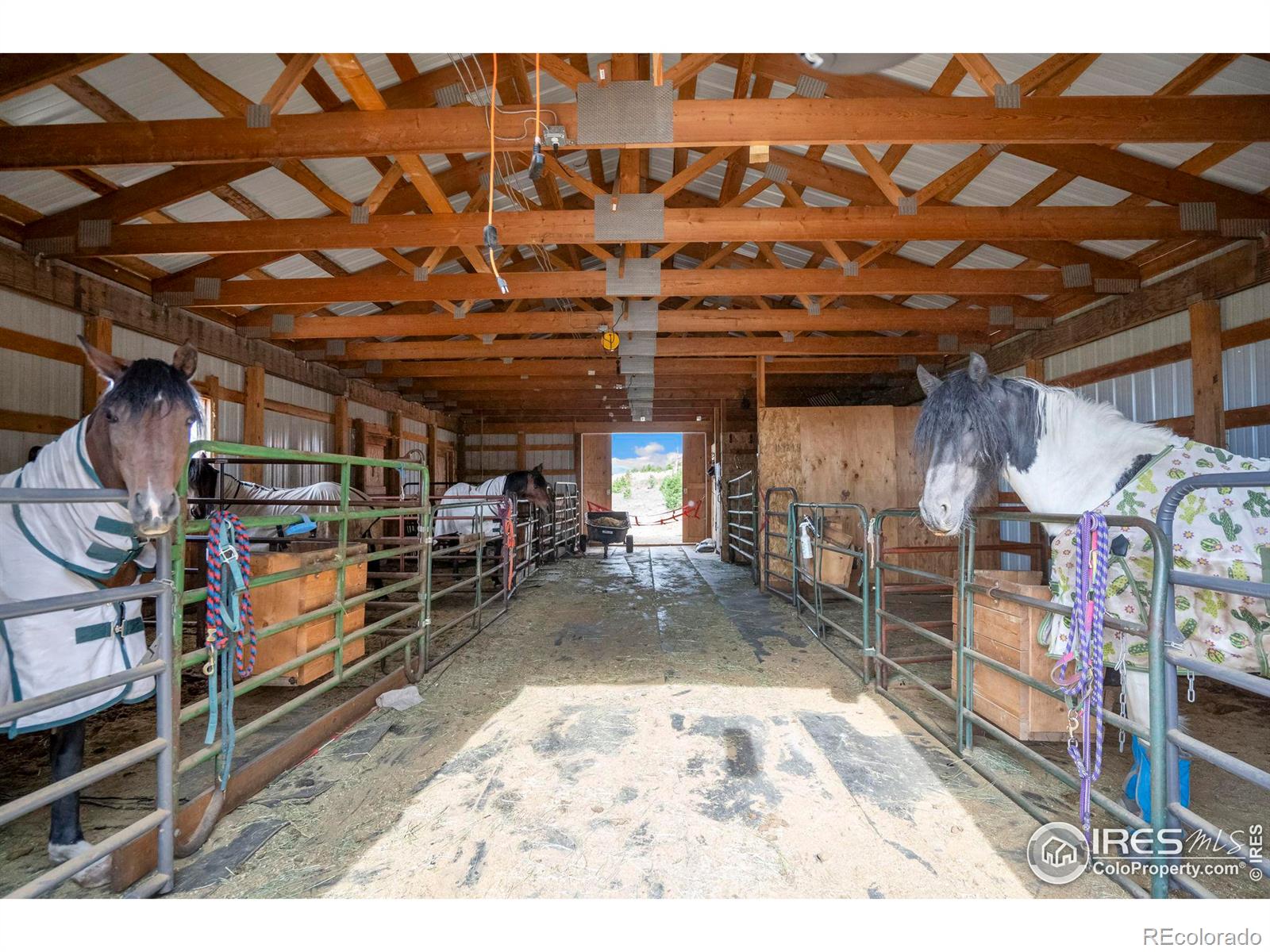 MLS Image #31 for 244  blue grouse lane,bellvue, Colorado