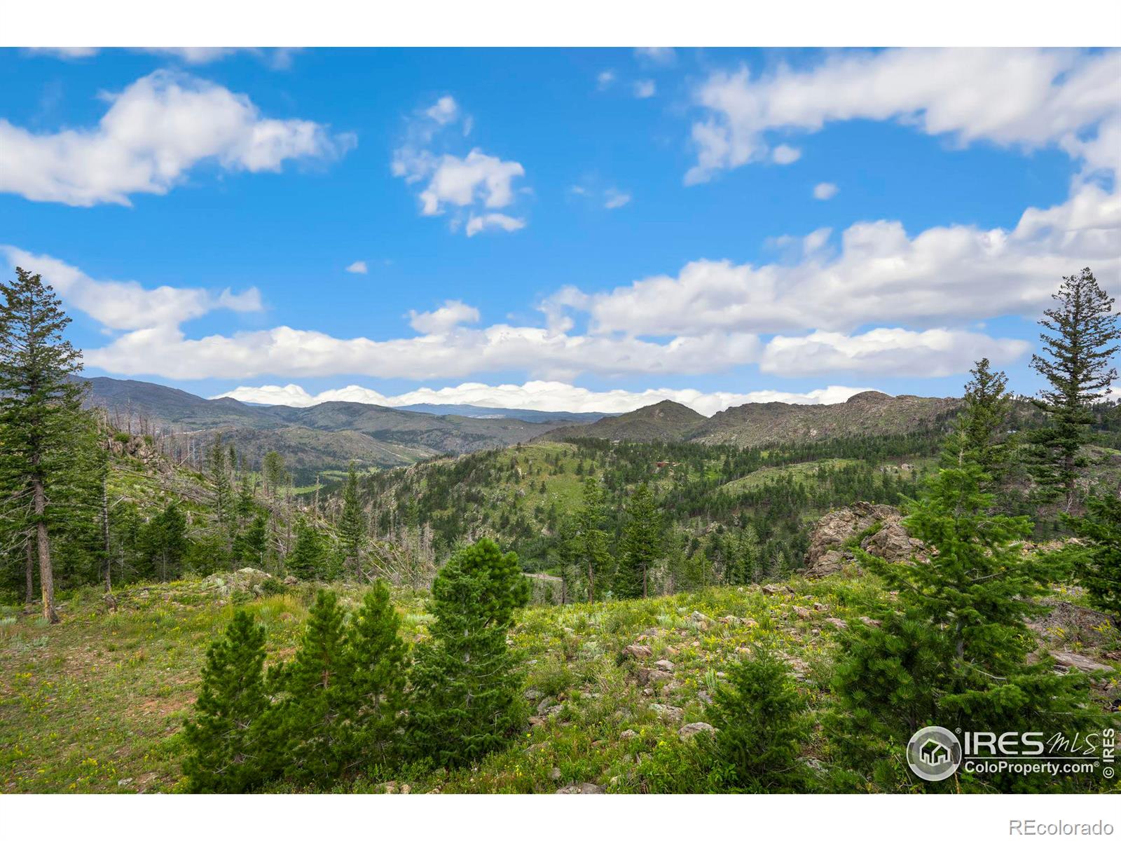 MLS Image #36 for 244  blue grouse lane,bellvue, Colorado