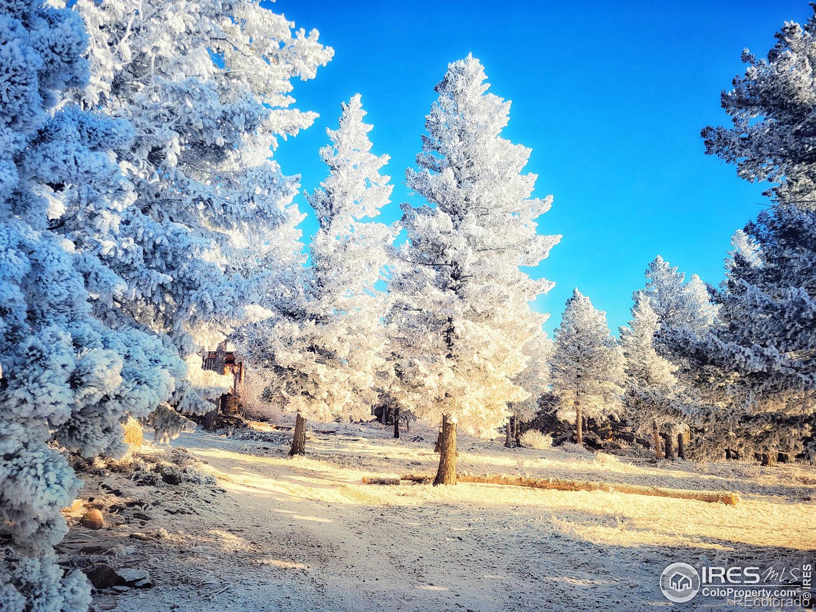 MLS Image #37 for 244  blue grouse lane,bellvue, Colorado