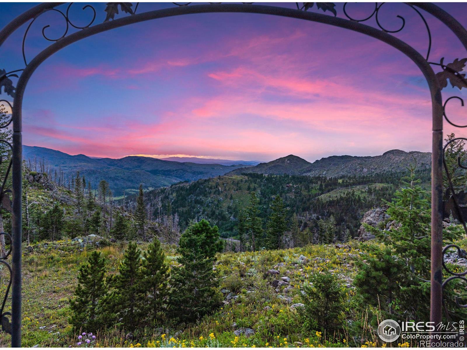 MLS Image #5 for 244  blue grouse lane,bellvue, Colorado