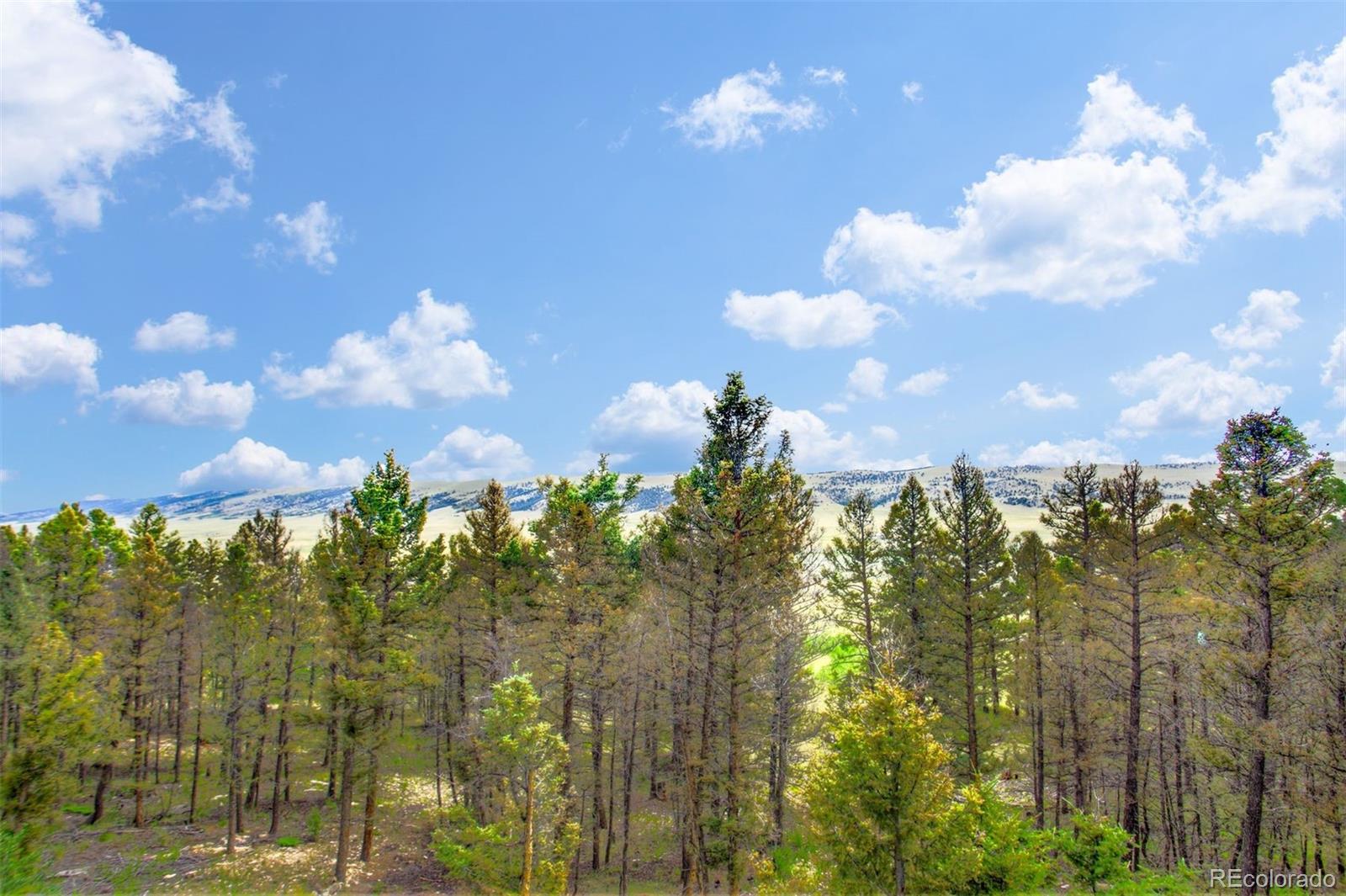 MLS Image #23 for 1764  redhill road,fairplay, Colorado