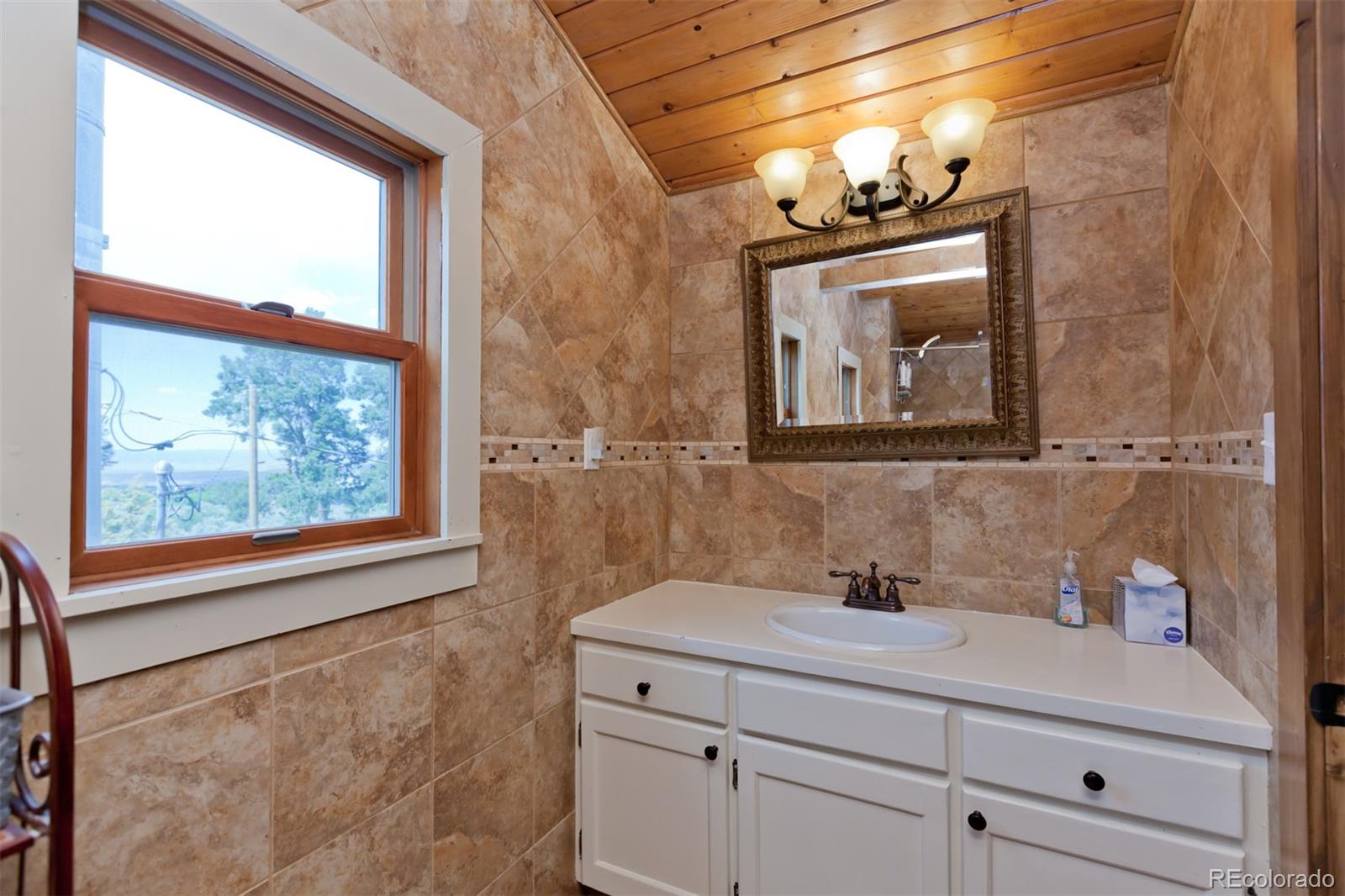 MLS Image #24 for 24041  t50 road,cedaredge, Colorado