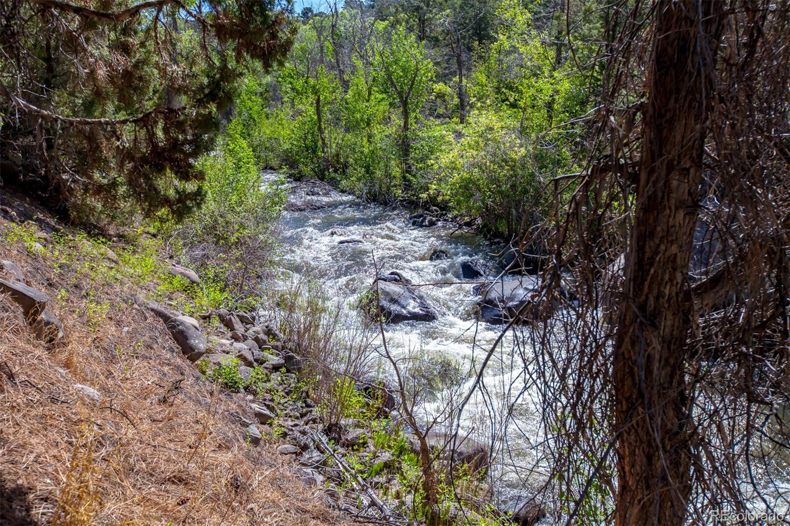 MLS Image #31 for 24041  t50 road,cedaredge, Colorado