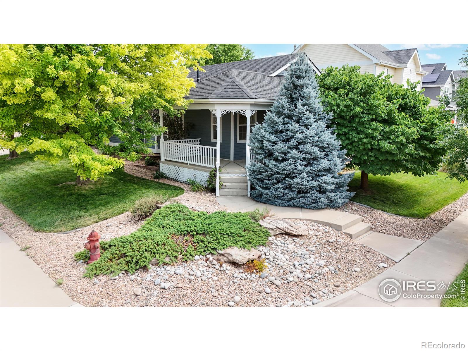 MLS Image #0 for 1144  fairfield avenue,windsor, Colorado