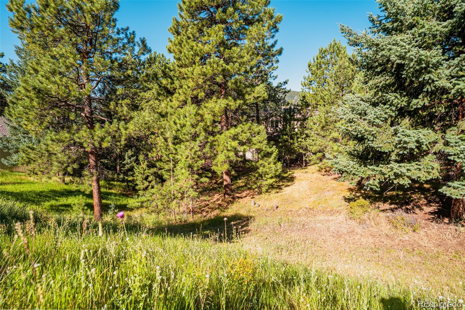 MLS Image #45 for 31305  burn lane,evergreen, Colorado