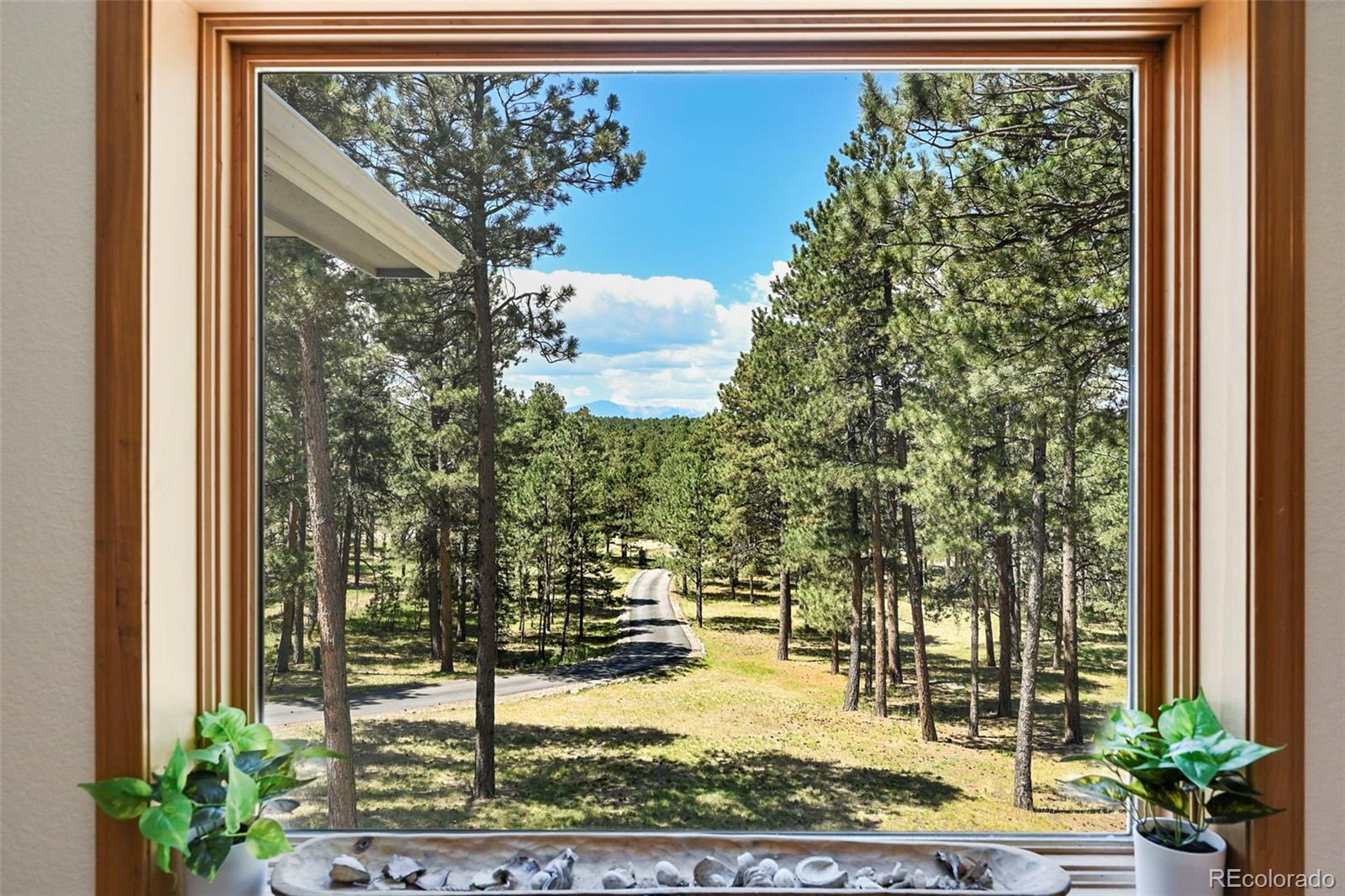 MLS Image #33 for 19951  elk creek drive,colorado springs, Colorado