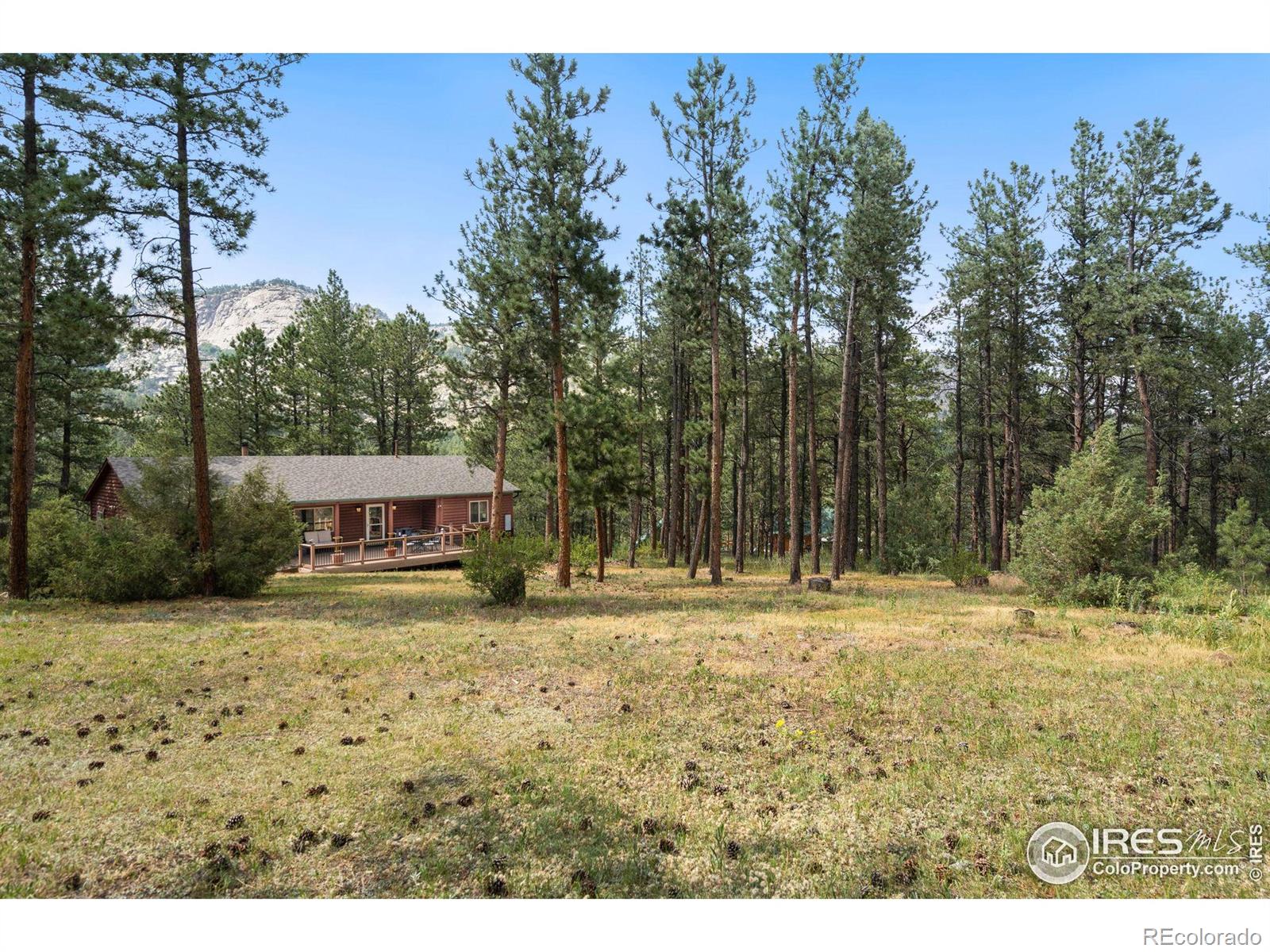 MLS Image #0 for 341  spruce mountain drive,drake, Colorado