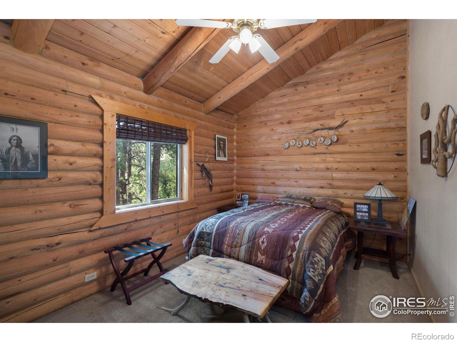 MLS Image #12 for 341  spruce mountain drive,drake, Colorado