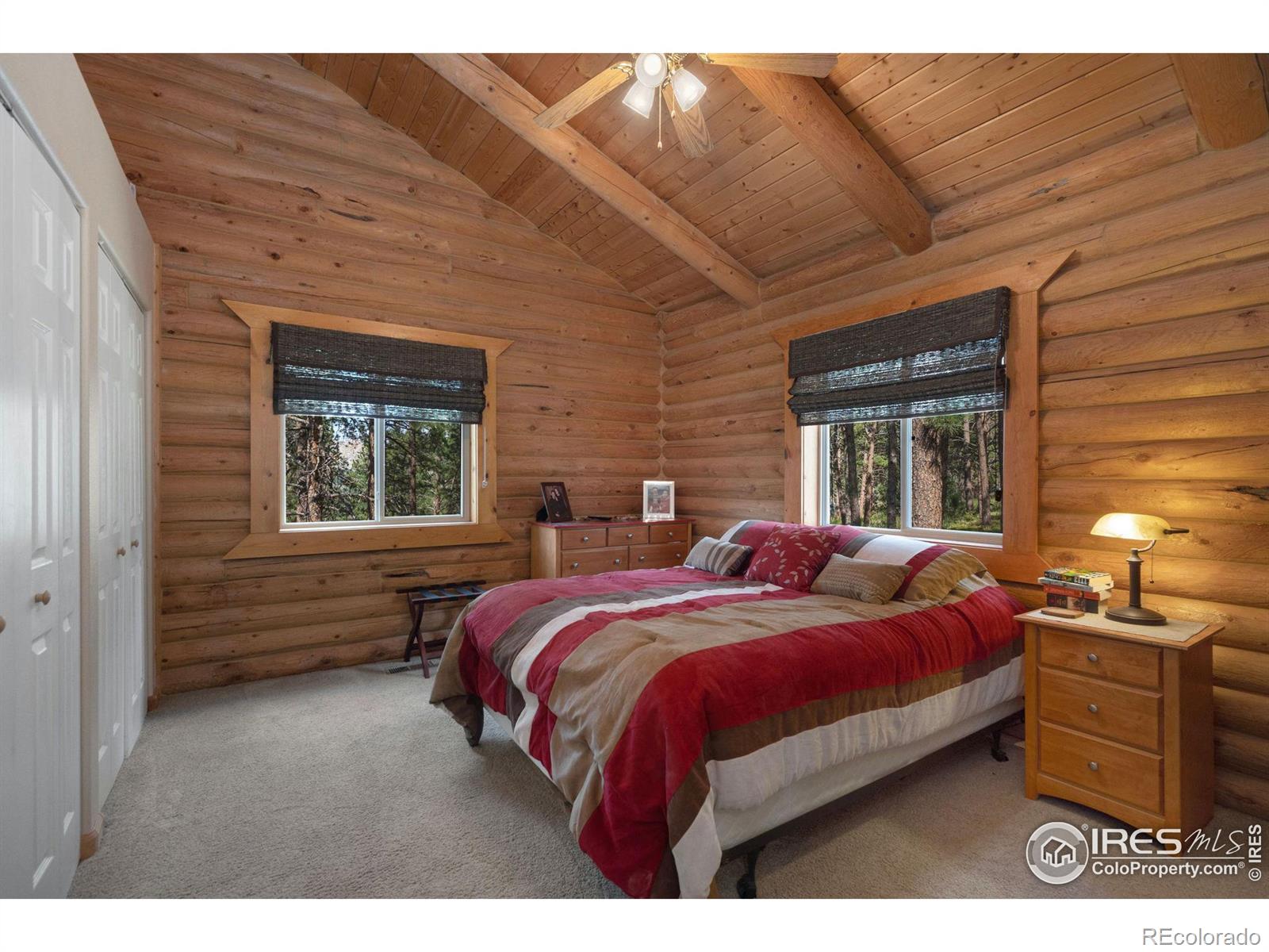 MLS Image #14 for 341  spruce mountain drive,drake, Colorado