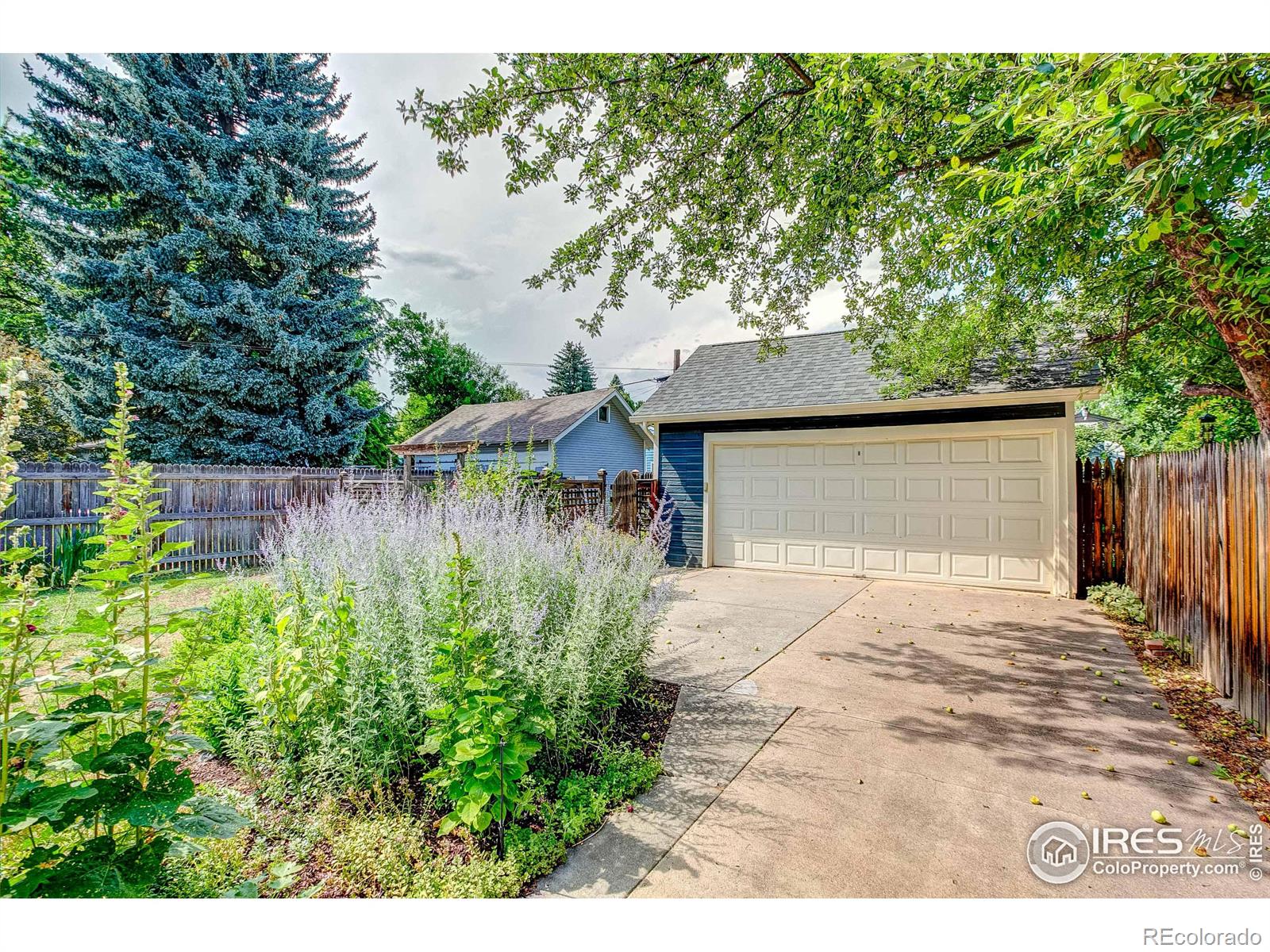 MLS Image #39 for 924 w mountain avenue,fort collins, Colorado