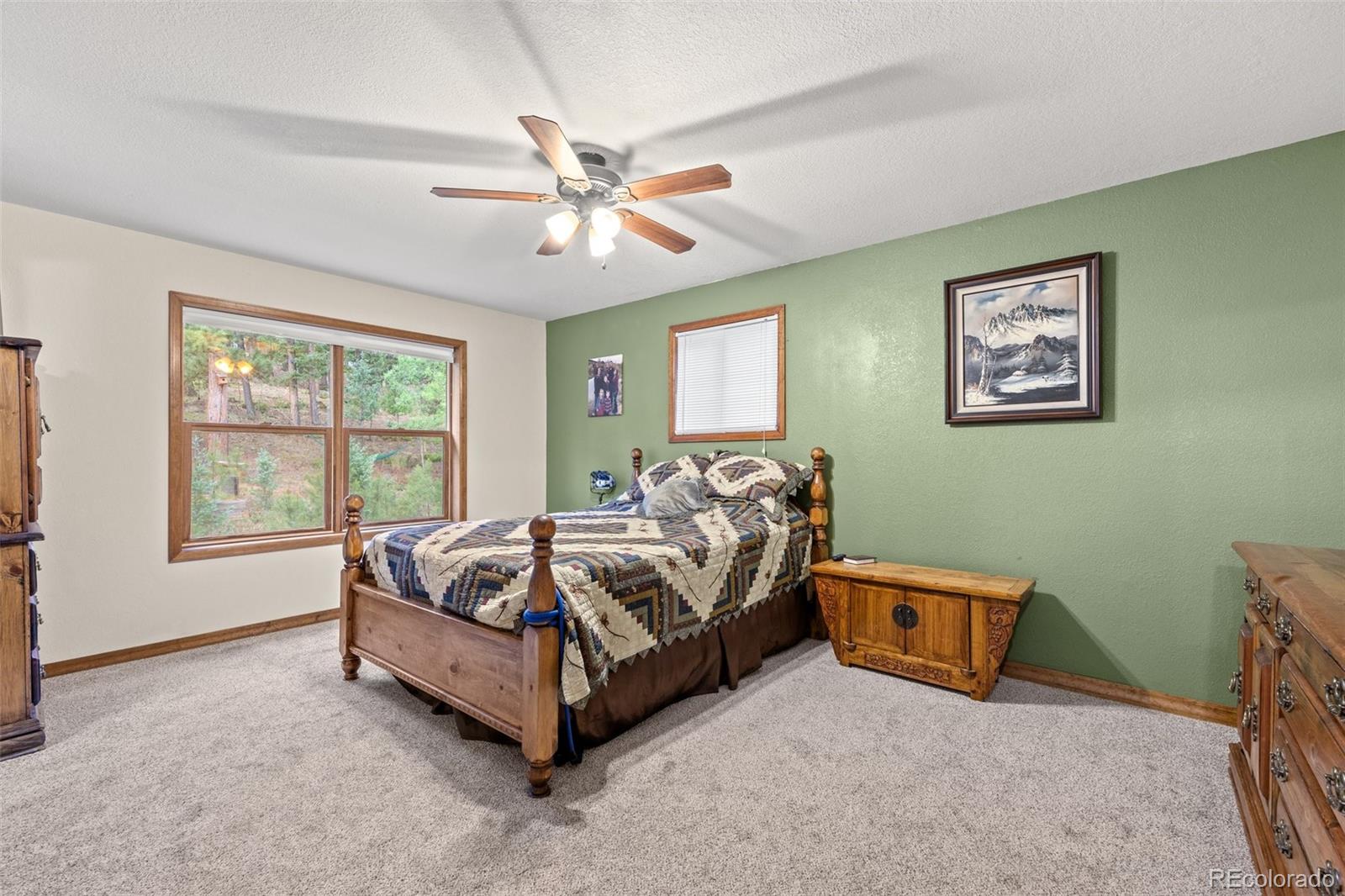 MLS Image #28 for 44  conestoga court,bailey, Colorado