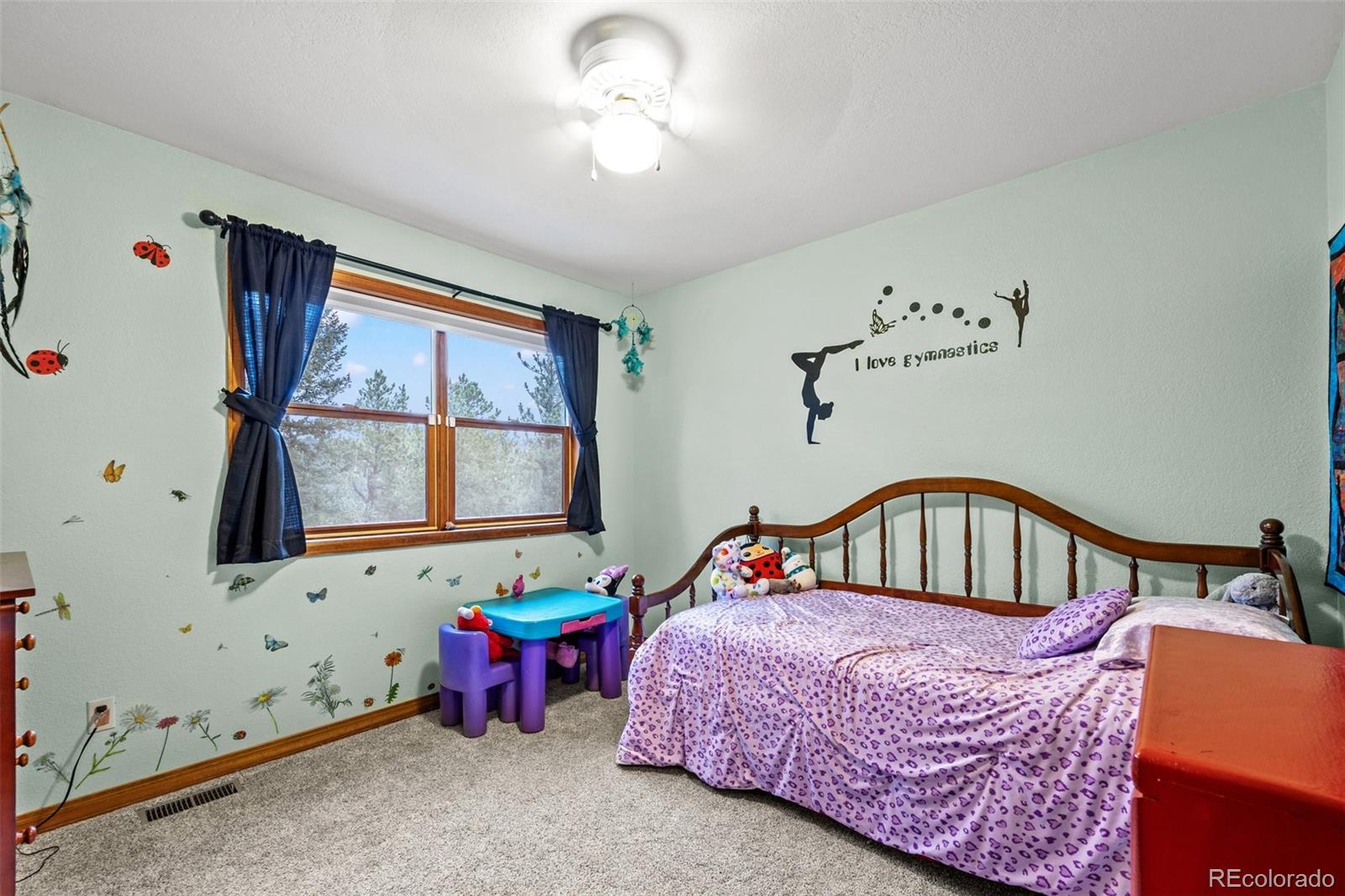 MLS Image #38 for 44  conestoga court,bailey, Colorado