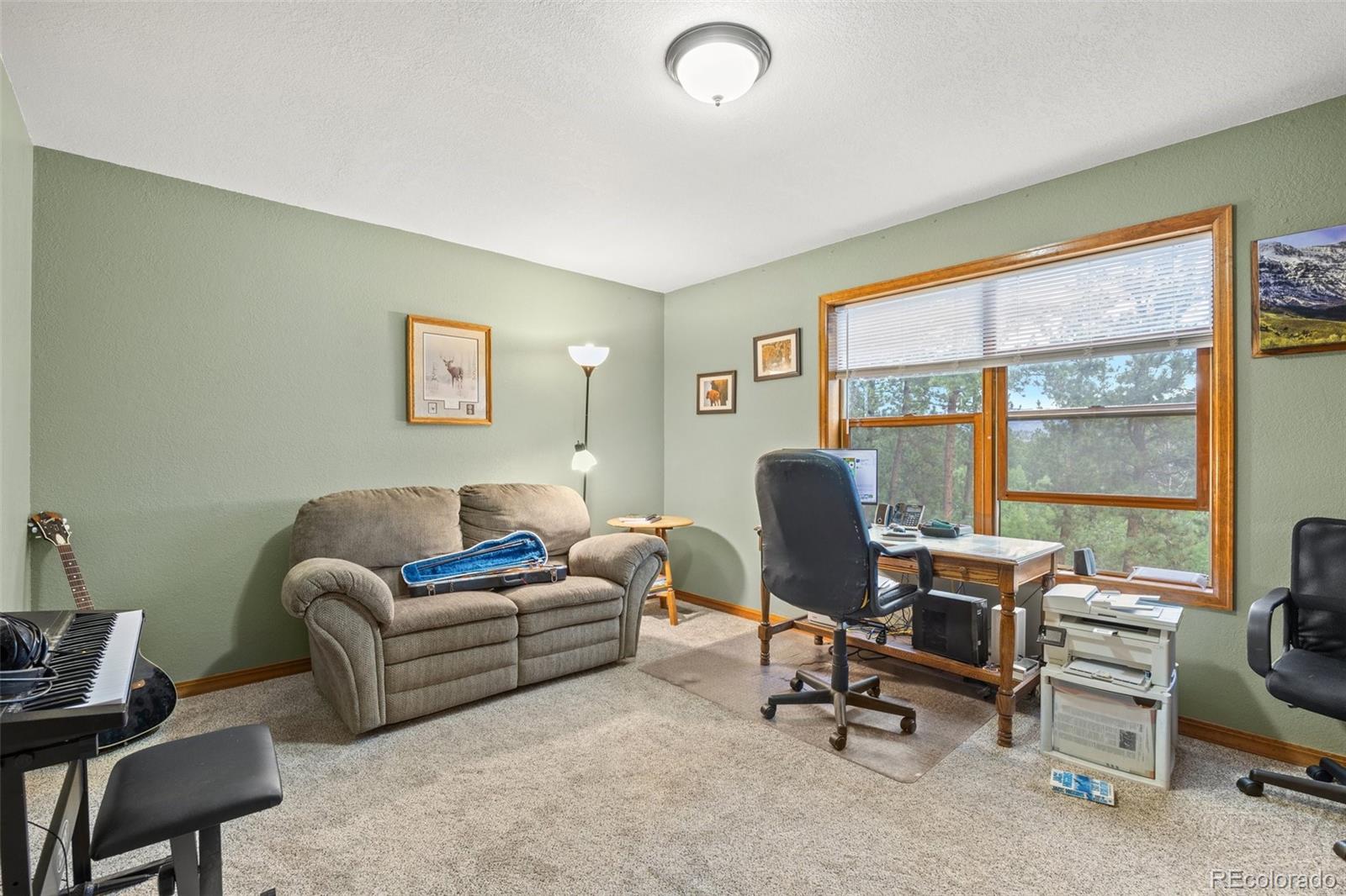 MLS Image #40 for 44  conestoga court,bailey, Colorado