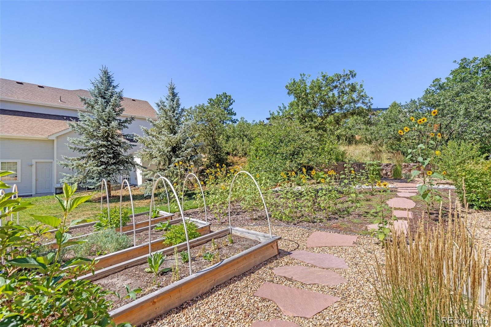 MLS Image #46 for 525  valley drive,castle rock, Colorado