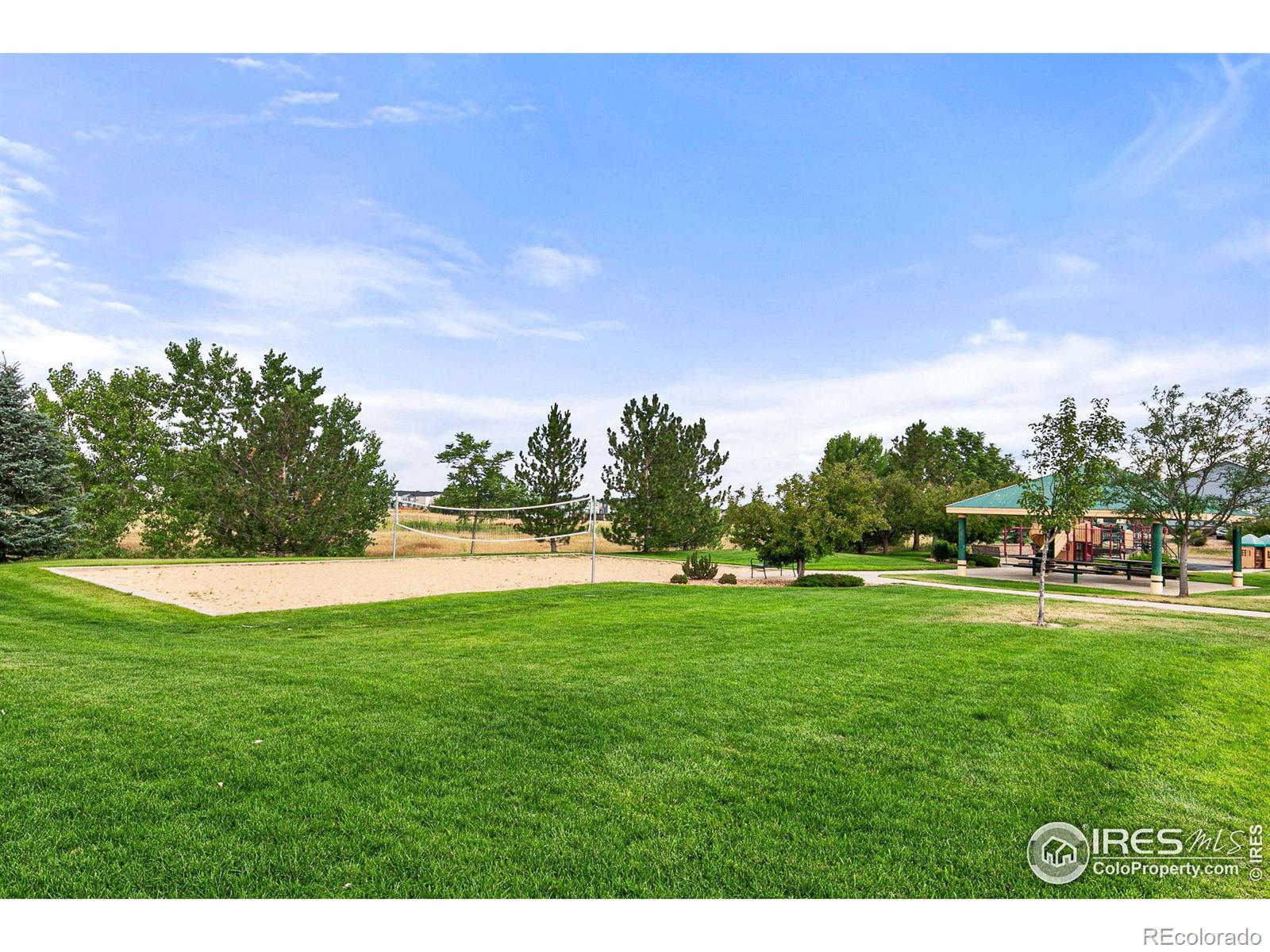 MLS Image #27 for 351  montgomery drive,erie, Colorado