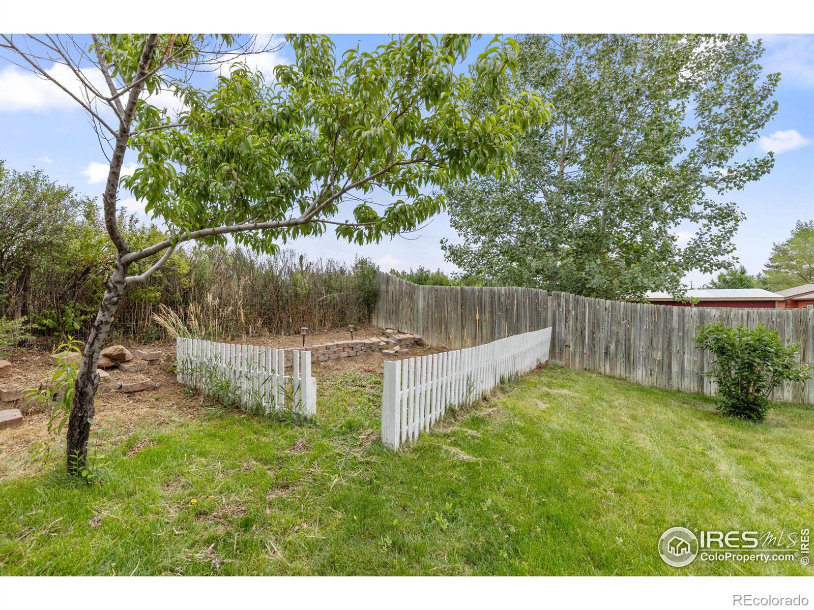 MLS Image #23 for 2918 w olive street,fort collins, Colorado