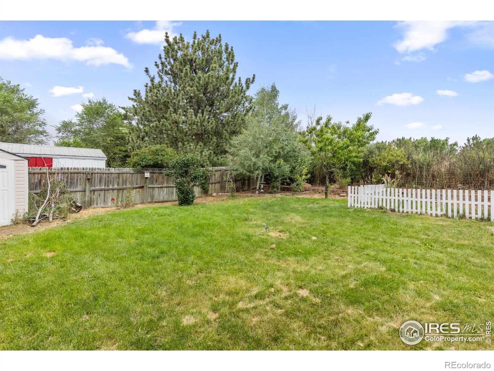 MLS Image #24 for 2918 w olive street,fort collins, Colorado