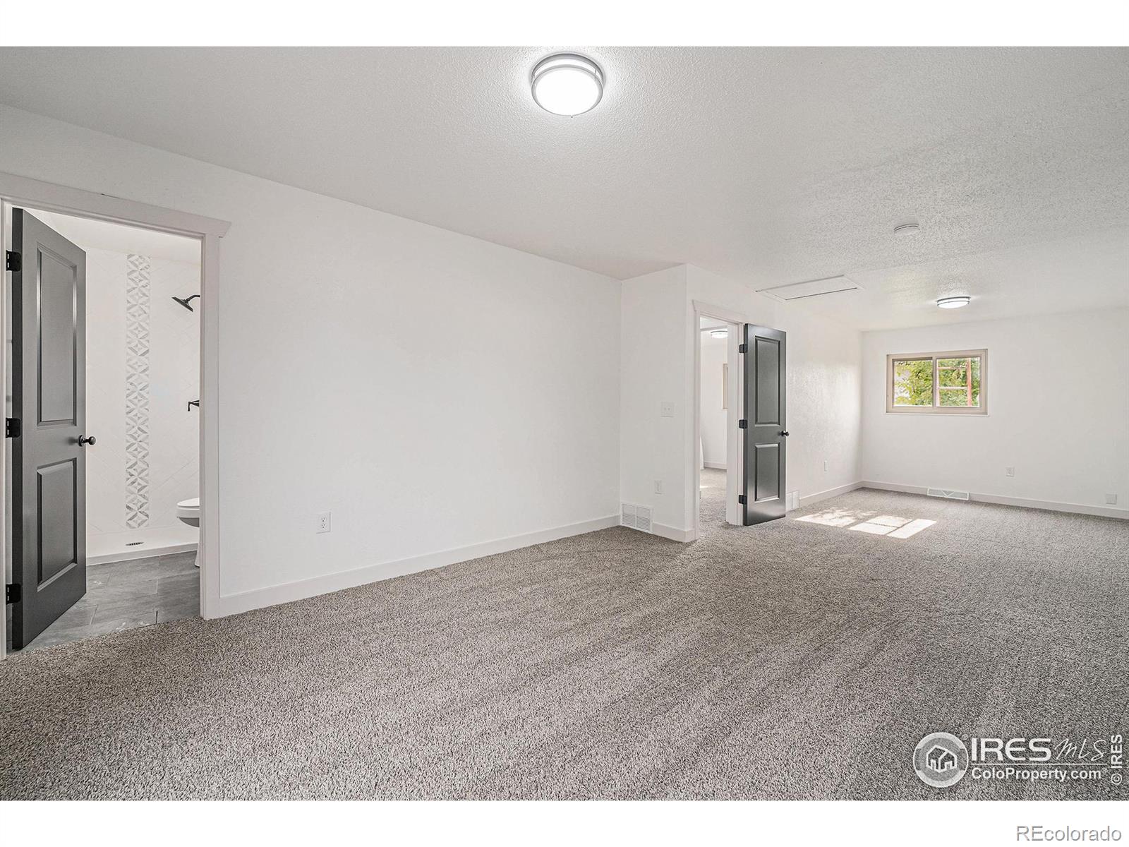 MLS Image #11 for 161  kahil place,fort lupton, Colorado