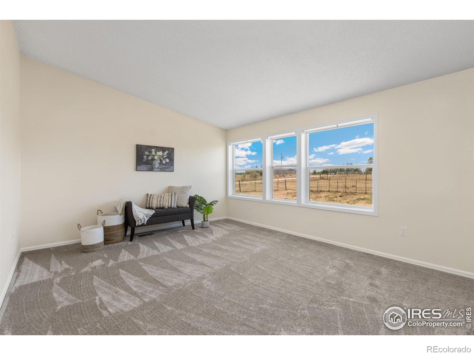 MLS Image #18 for 12905  palomino place,wellington, Colorado