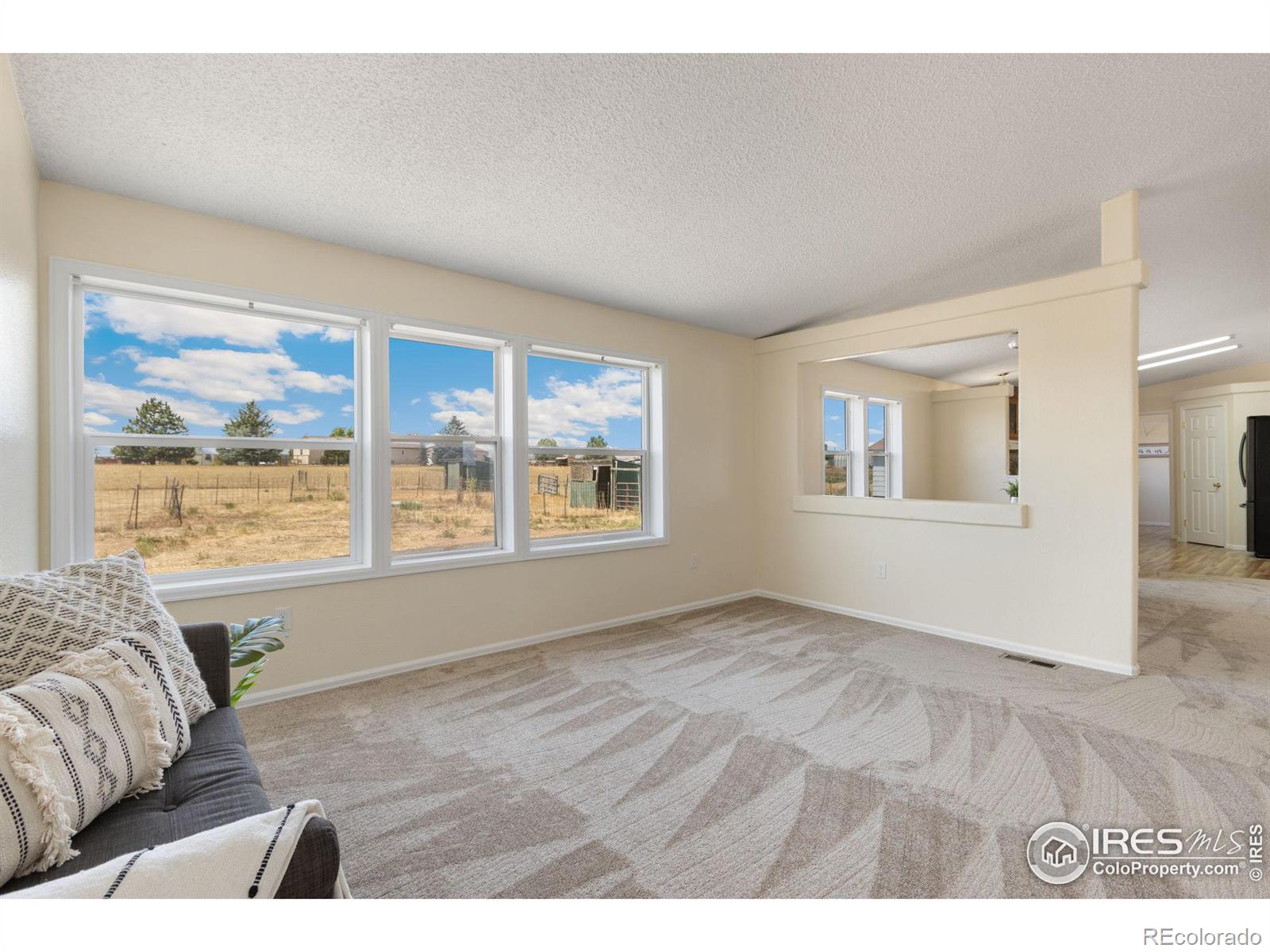 MLS Image #19 for 12905  palomino place,wellington, Colorado