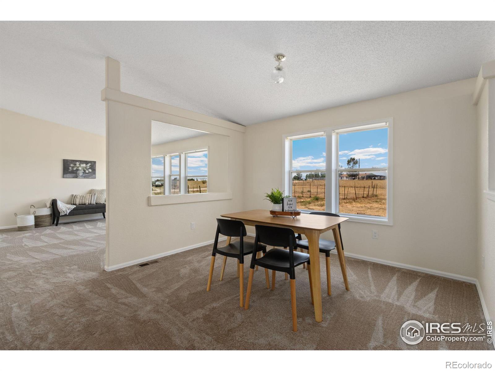 MLS Image #9 for 12905  palomino place,wellington, Colorado