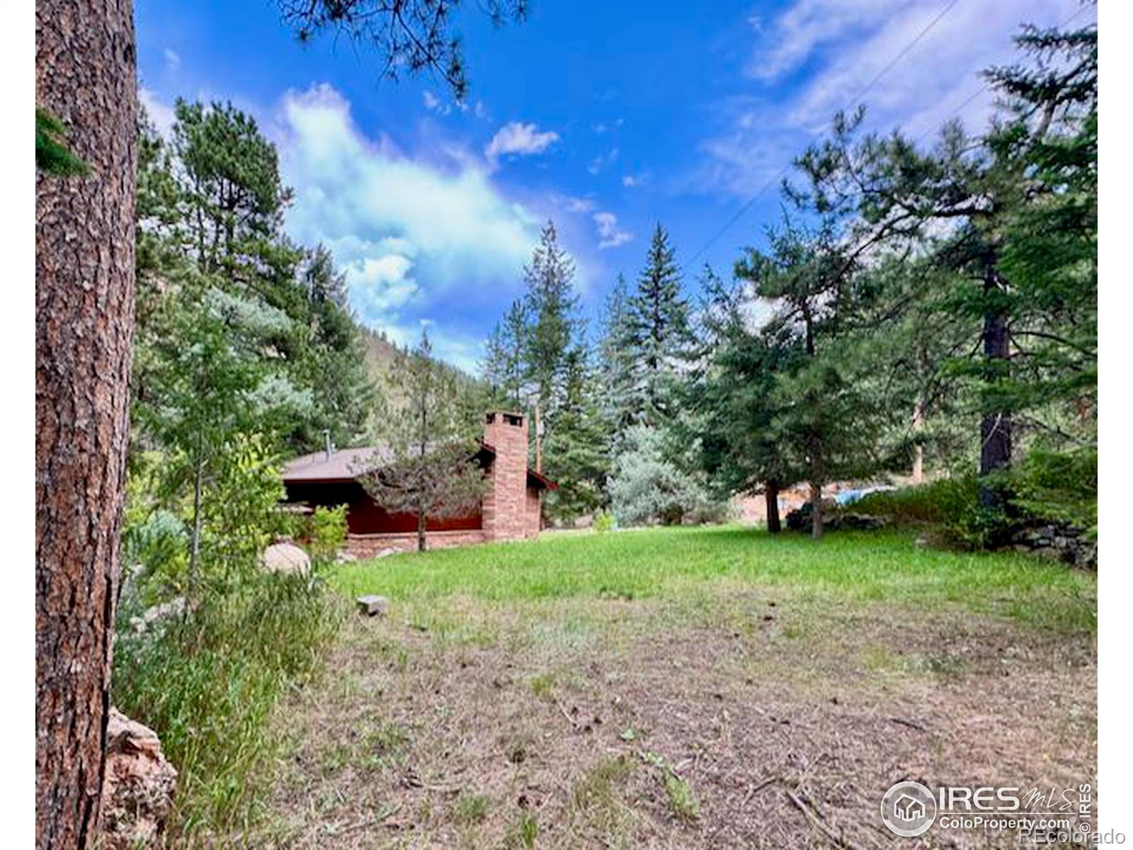 MLS Image #17 for 167  waltonia road,drake, Colorado