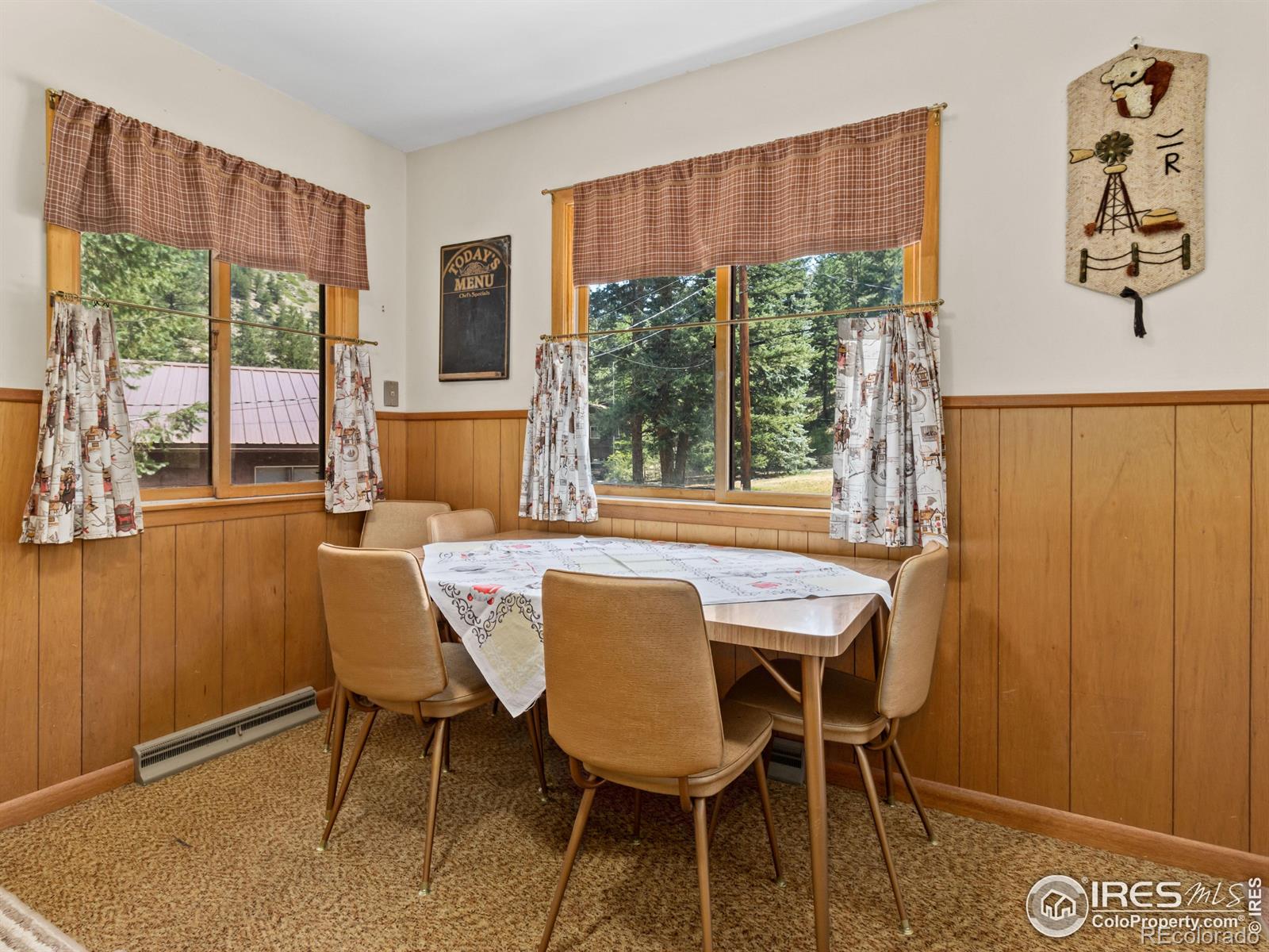 MLS Image #20 for 167  waltonia road,drake, Colorado