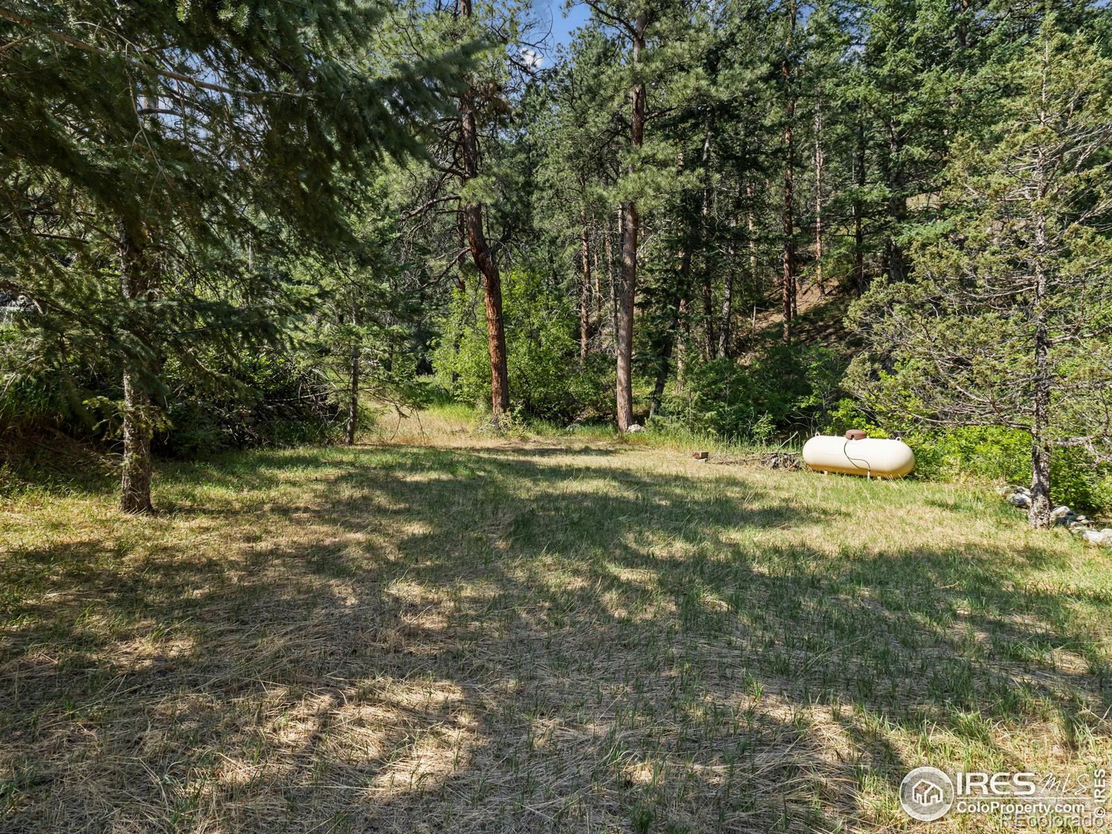 MLS Image #25 for 167  waltonia road,drake, Colorado