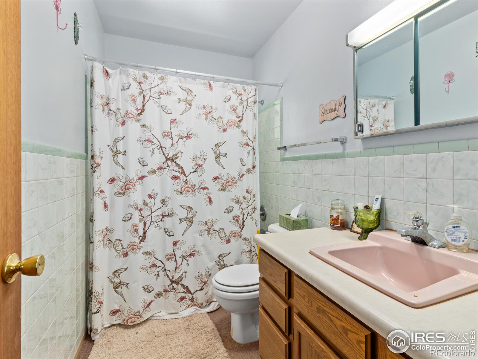 MLS Image #9 for 167  waltonia road,drake, Colorado