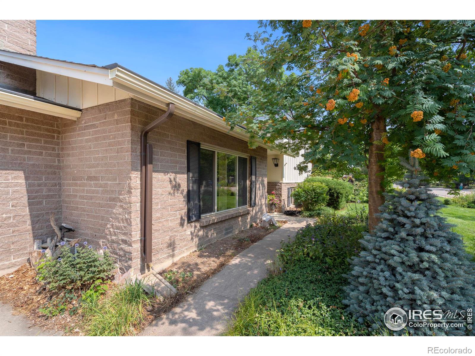MLS Image #3 for 1317  lory street,fort collins, Colorado