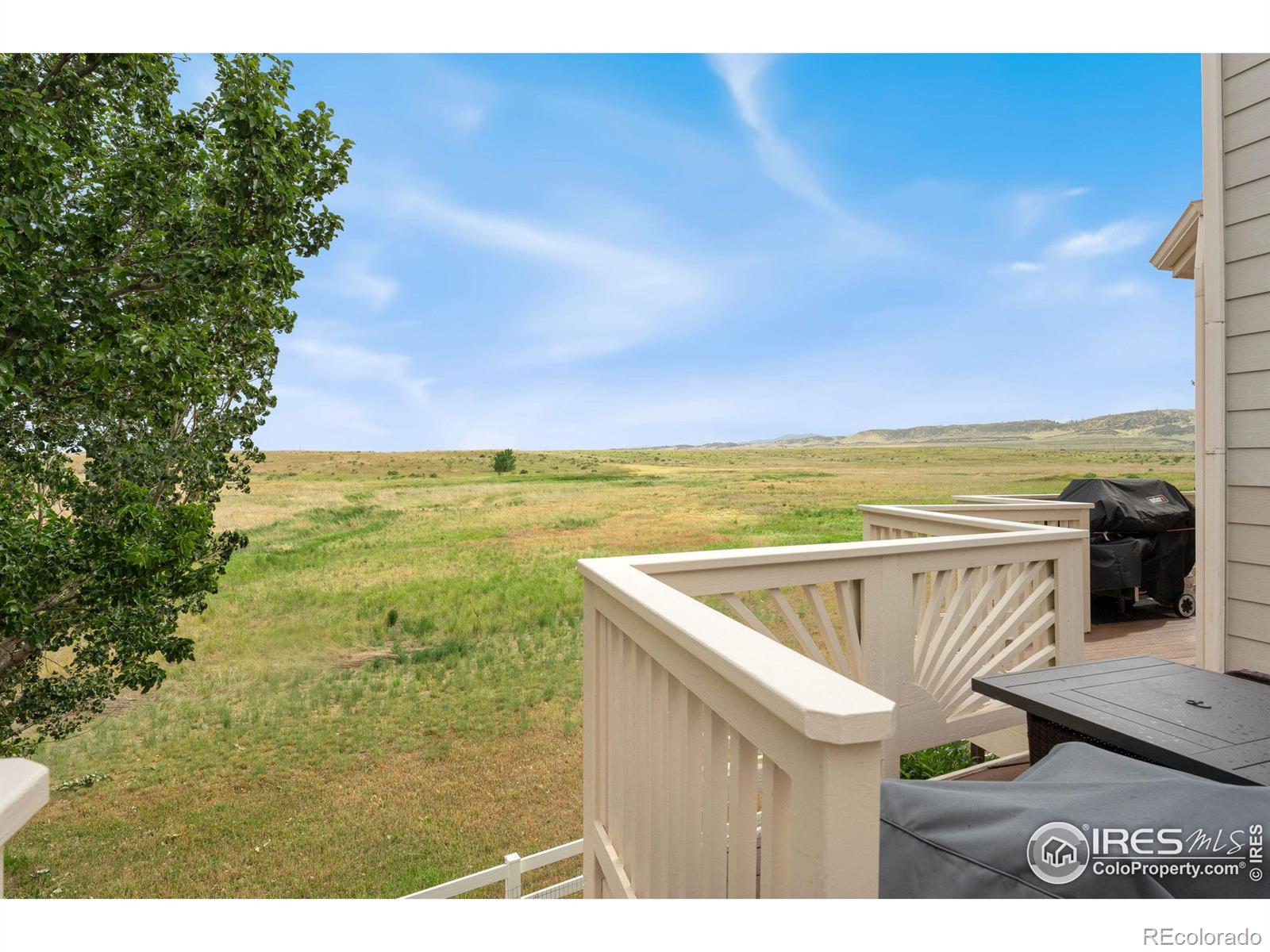 MLS Image #27 for 7233  trout court,fort collins, Colorado